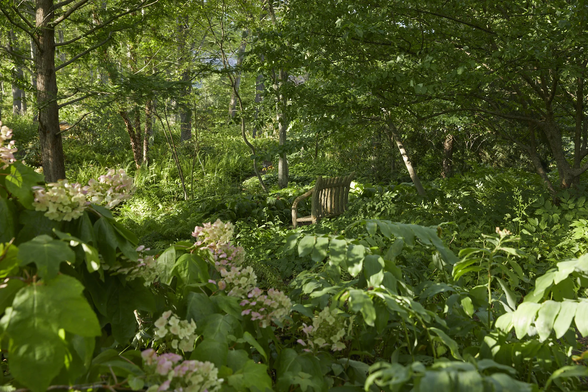 Woodland Garden