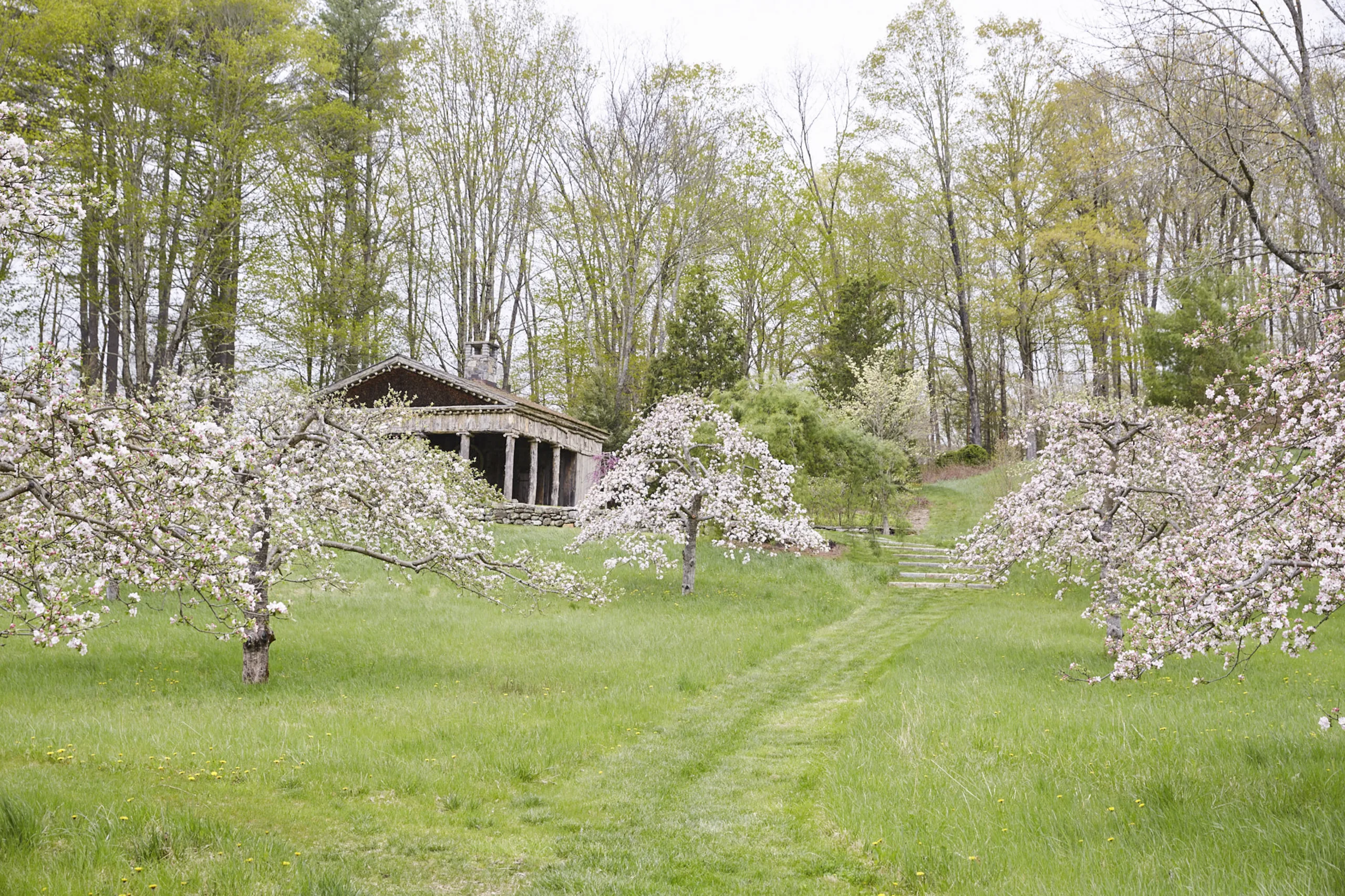 ABOUT THE ORCHARD